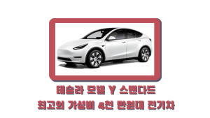 테슬라 모델 Y 스탠다드 최고의 가성비 4천 만원대 전기차